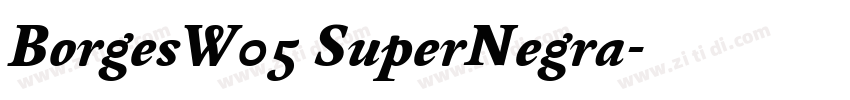BorgesW05 SuperNegra字体转换 BorgesW05 SuperNegra字体转换